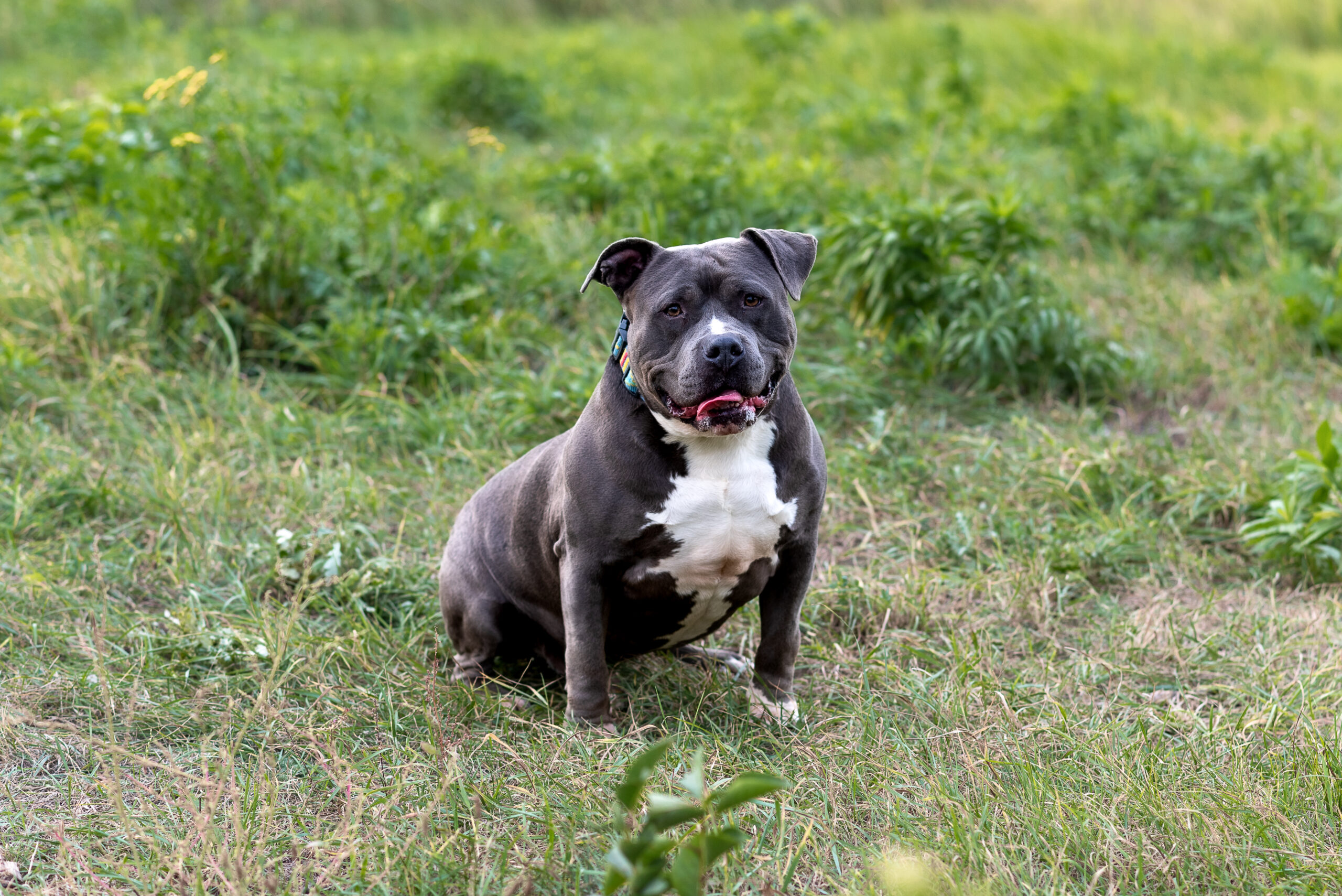 Tyson